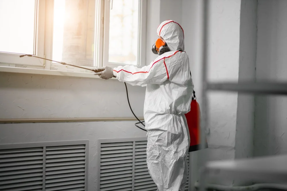 Professional mold remediation services in Stanton, MI